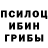 Псилоцибиновые грибы GOLDEN TEACHER elake