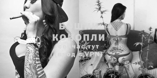 стаф Краснослободск