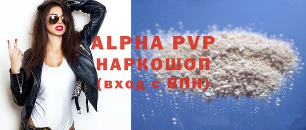 гидра Корсаков
