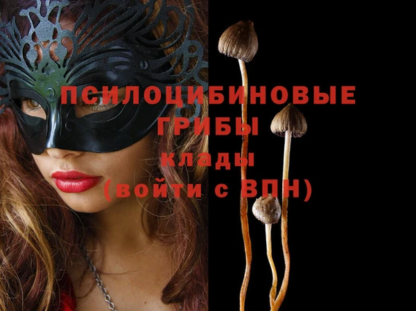 кокс Коряжма