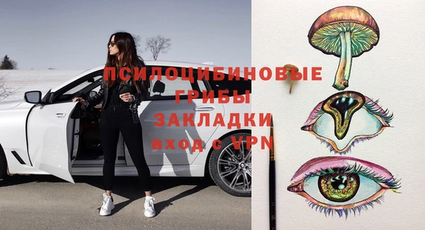 mdpv Гатчина