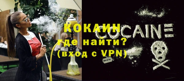 гидра Корсаков