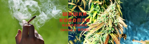 стаф Краснослободск
