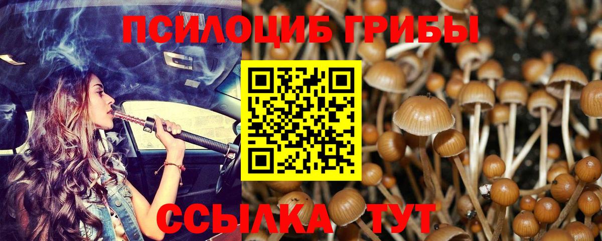 Псилоцибиновые грибы MAGIC MUSHROOMS Краснокамск